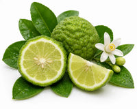 Bergamot