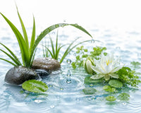 Fresh Water Accord