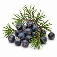 Juniper Berries