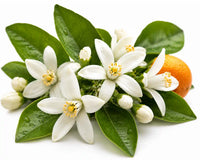 Neroli