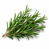 Rosemary