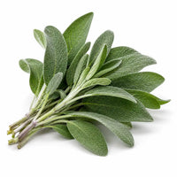 Sage