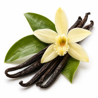 Vanilla