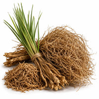 Vetiver